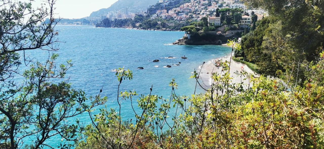 Vue Magnifique, Piscine Privee Chauffee Et Sauna A 10Min De Monaco Roquebrune-Cap-Martin Dış mekan fotoğraf